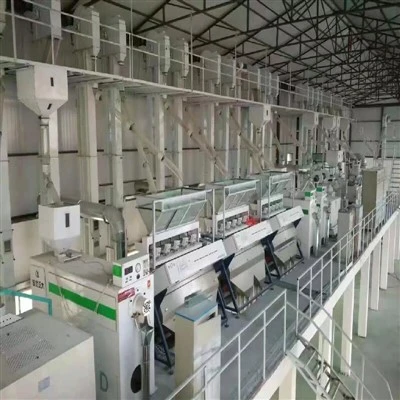 Grain Impurity Removal Processing Equipment